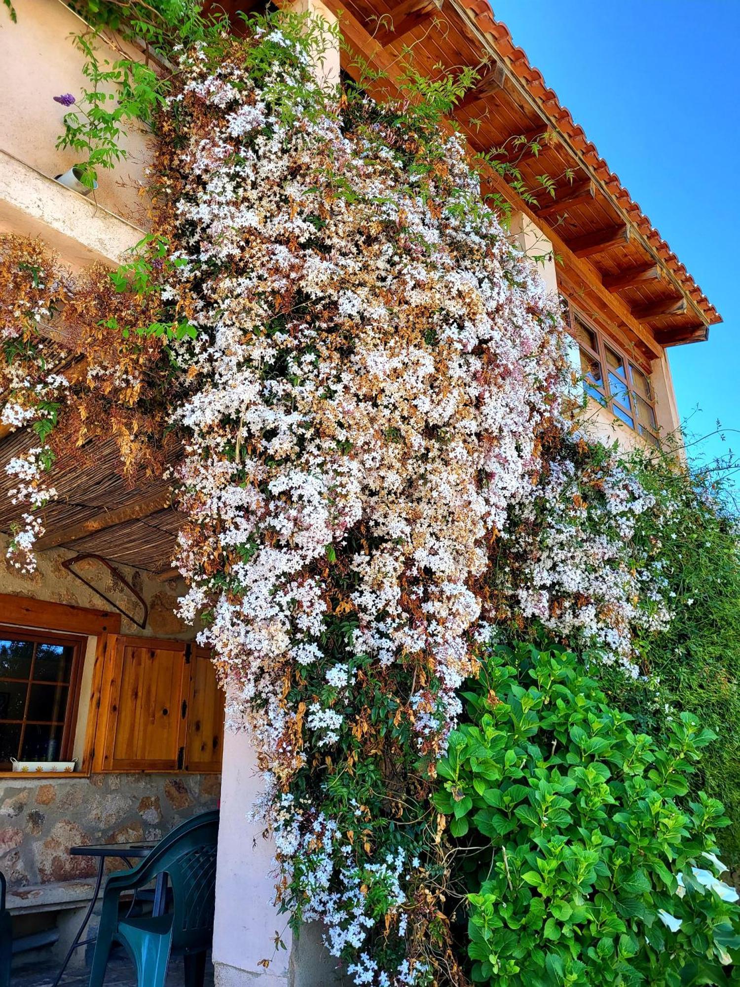 Casa Rural Balcon Del Camino Viejo Valencia de Alcántara Eksteriør billede